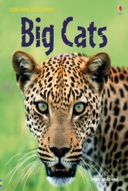 Discovery: Big cats-0