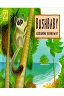 Bushbaby-0