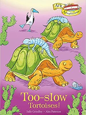 Too-Slow Tortoises! -0